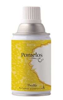 Image de AEROSOL 150ml DIFFUSEUR MINISPRAY PARFUM POMELOS