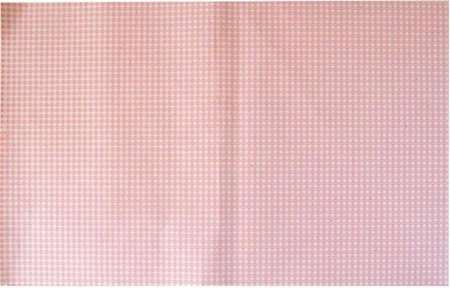 PAPIER DUPLEX 67gr imp PPT ROSE 25/32 paquet de 10kg