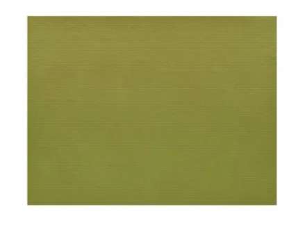 Image de SET DE TABLE PAPIER 30/40cm KRAFT PISTACHE  COLIS DE 500