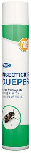 Image de INSECTICIDE GUEPES AEROSOL 750ml