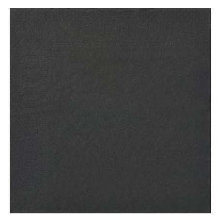 Image de SERVIETTE OUATE 20/20 2PLIS EBENE COLIS DE 1800