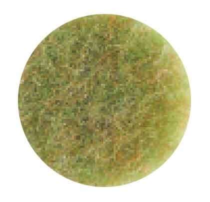 Image de DISQUE TOPLINE AMANDE Ø355mm SCOTCH BRITE 3M