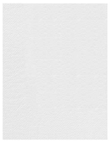Image de SERVIETTE OUATE 30/39 2plis NATURE BLANCHE COLIS DE 2400
