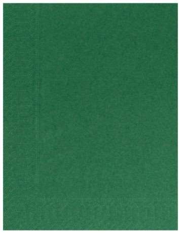 Image de SERVIETTE OUATE 30/39 2plis VERT SAPIN         SACHET DE 100