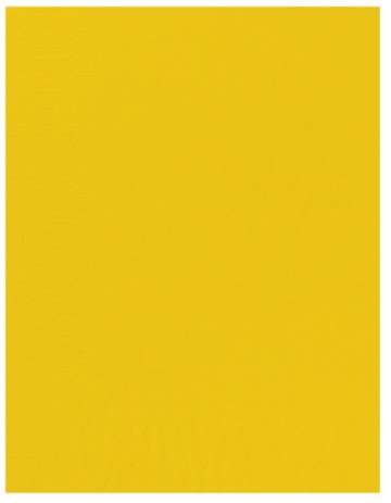 Image de SERVIETTE OUATE 30/39 2plis CITRON SACHET DE 100