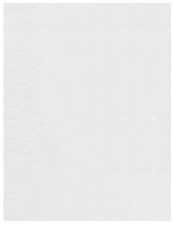 Image de SERVIETTE OUATE 30/39 2plis NATURE BLANCHE SACHET DE 100
