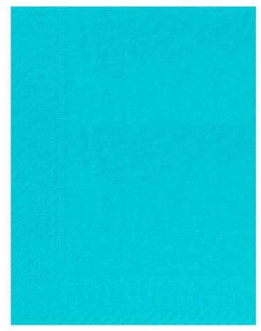 Image de SERVIETTE OUATE 30/39 2plis TURQUOISE SACHET DE 100