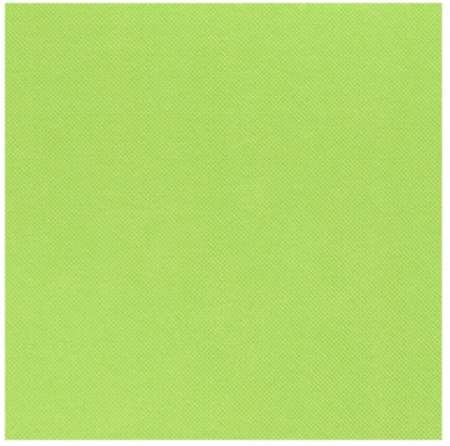 Image de SERVIETTE CELI-OUATE 38/38 PISTACHE SACHET DE 50