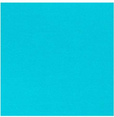 Image de SERVIETTE CELI-OUATE 38/38 TURQUOISE SACHET DE 50