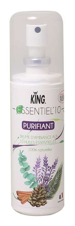Image de ESSENTIEL 10 DESODO AUX HUILES ESSENTIELLES PURIFIANT 100ml