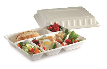 Image de PLATEAU REPAS FIBRE BLANC 5CPTS 295/245mm   SACHET DE 50