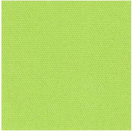 Image de SERVIETTE CELI-OUATE 20/20 PISTACHE    SACHET DE 50