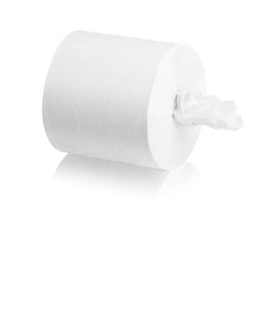 Image de PAPIER TOILETTE 2p DEVIDAGE CENTRAL ECOLABE 720FTS 180m  X12