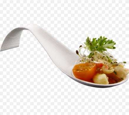 Image de CUILLERE CHINOISE VENEZIA12cm PULPE DE CANNE PAQUET DE 50