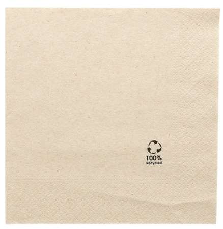 Image de SERVIETTE OUATE 20/20 ECOLOGIQUE 2 plis COLIS DE 4800