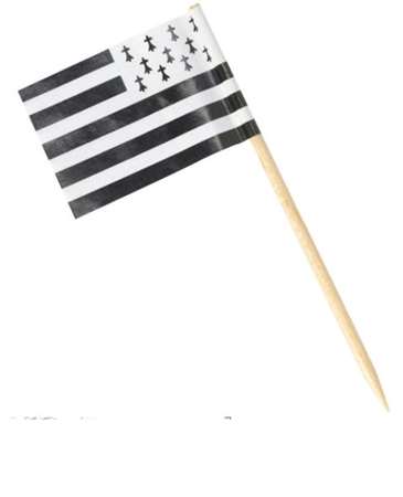 Image de PIQUE DRAPEAU BRETON BOITE DE 200