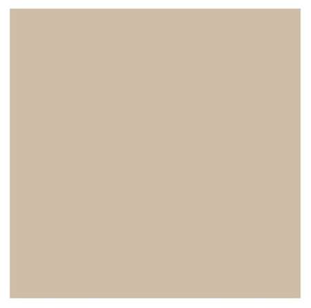 PAPIER INGRAISSABLE NATURAL 31/38cm           SACHET de 1000