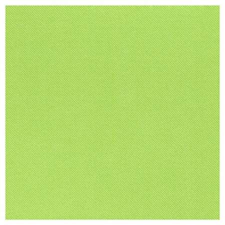 Image de SERVIETTE CELI-OUATE 38/38 PISTACHE COLIS DE 900