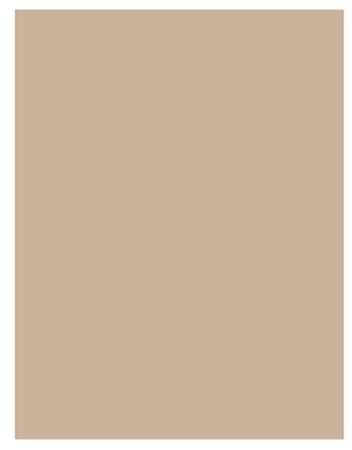 PAPIER INGRAISSABLE 28/34cm 34g/m² NATURE  PAQUET DE 1000
