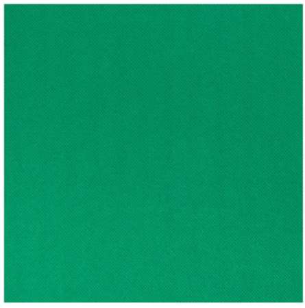 Image de SERVIETTE CELI-OUATE 38/38 VERT LUMIERE COLIS DE 900