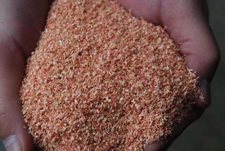 Image de ABSORBANT VEGETAL IGNIFUGE SAC DE 40L